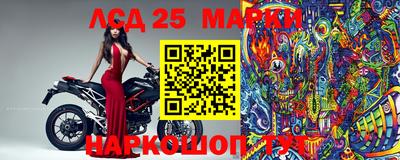 СК Кимры