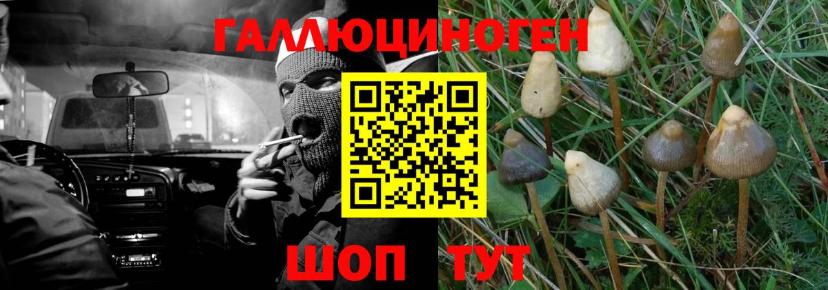 Галлюциногенные грибы мицелий Курск
