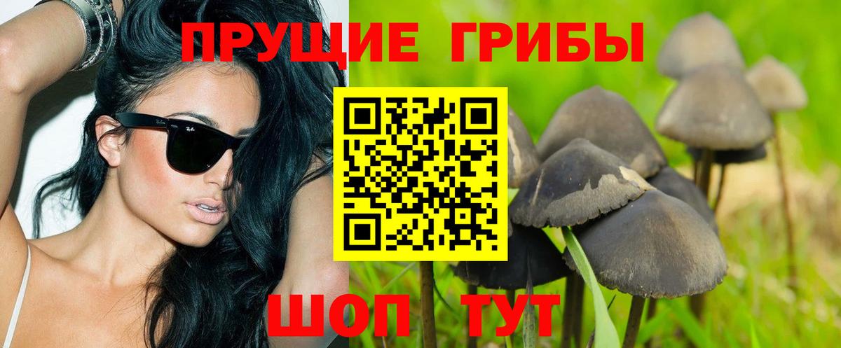 Курск  Галлюциногенные грибы прущие грибы  Вход с VPN  Галлюциногенные грибы мухоморы 